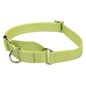 COLLIER MARTINGALE TISSU 5 / 8" x 10-14" - LIME