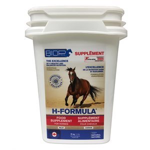 BIOPTEQ - H FORMULA - 5 KG