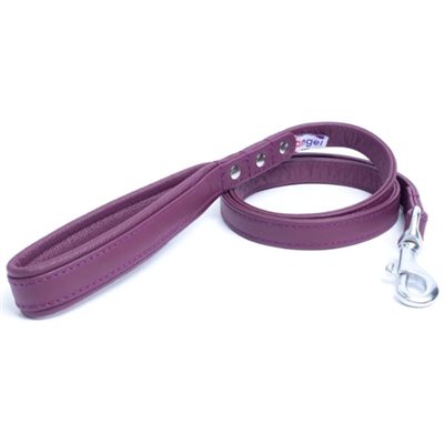 ANGEL PET LAISSE ALPINE 1" X 72" - VIOLET