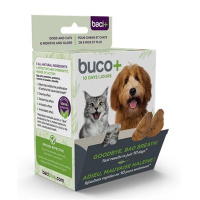 BUCO + 10 JOURS - CHATS & CHIEN - 10 G